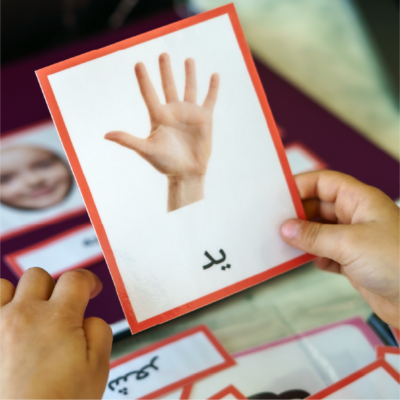 صندوق كلنا مختلفون